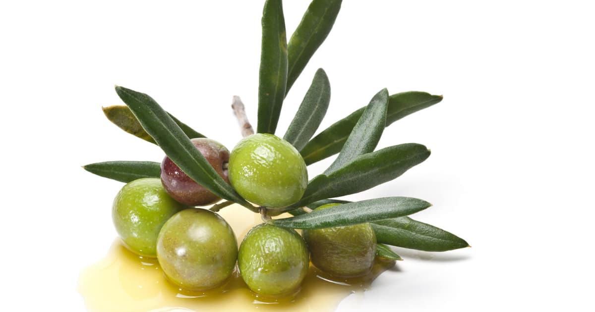 Hojiblanca olives