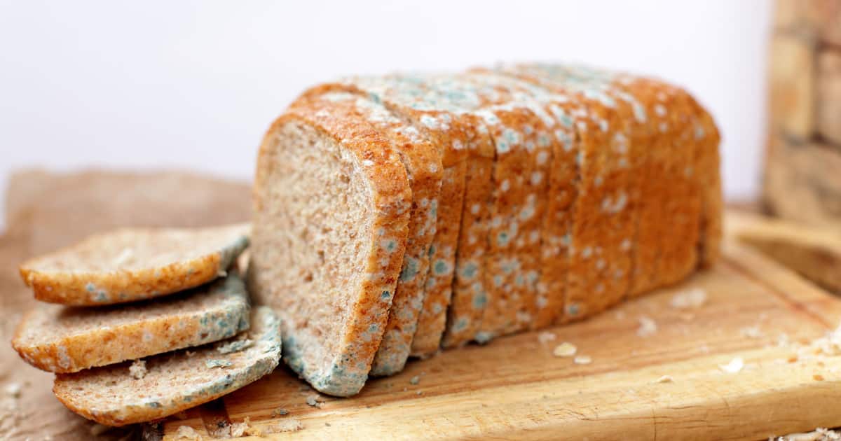 What Does Mold Look Like on Bread