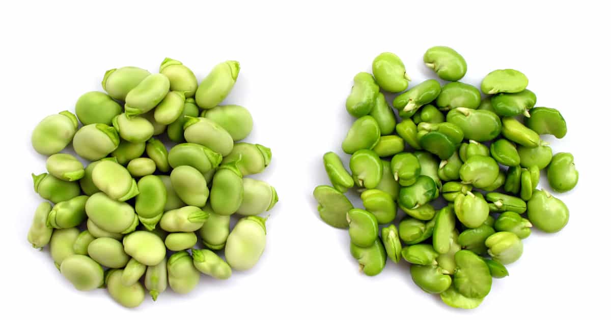 Butter Beans (Lima Beans) Substitutes