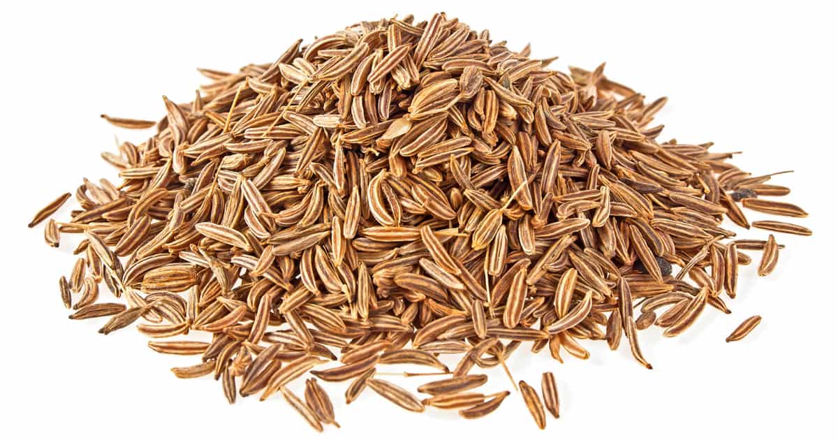 Caraway Seed Substitutes