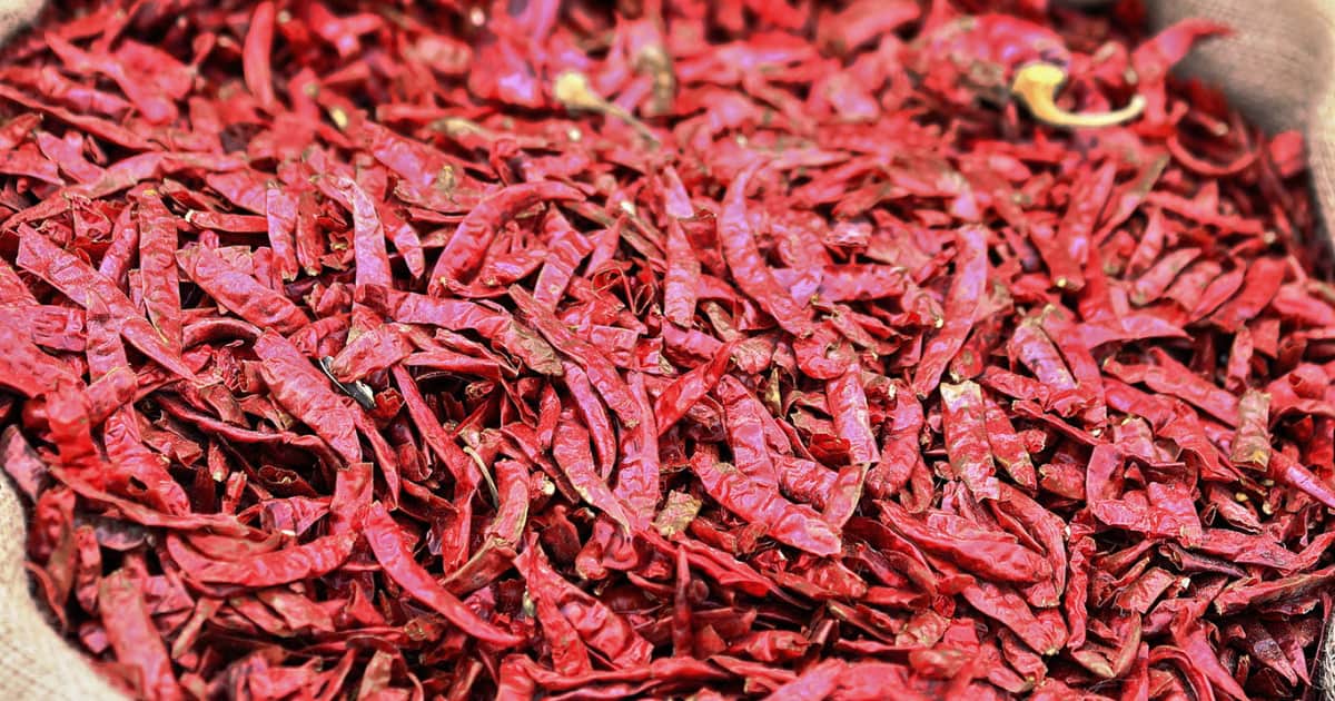 Tianjin peppers
