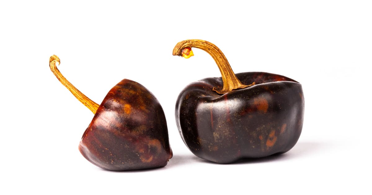 Cascabel peppers