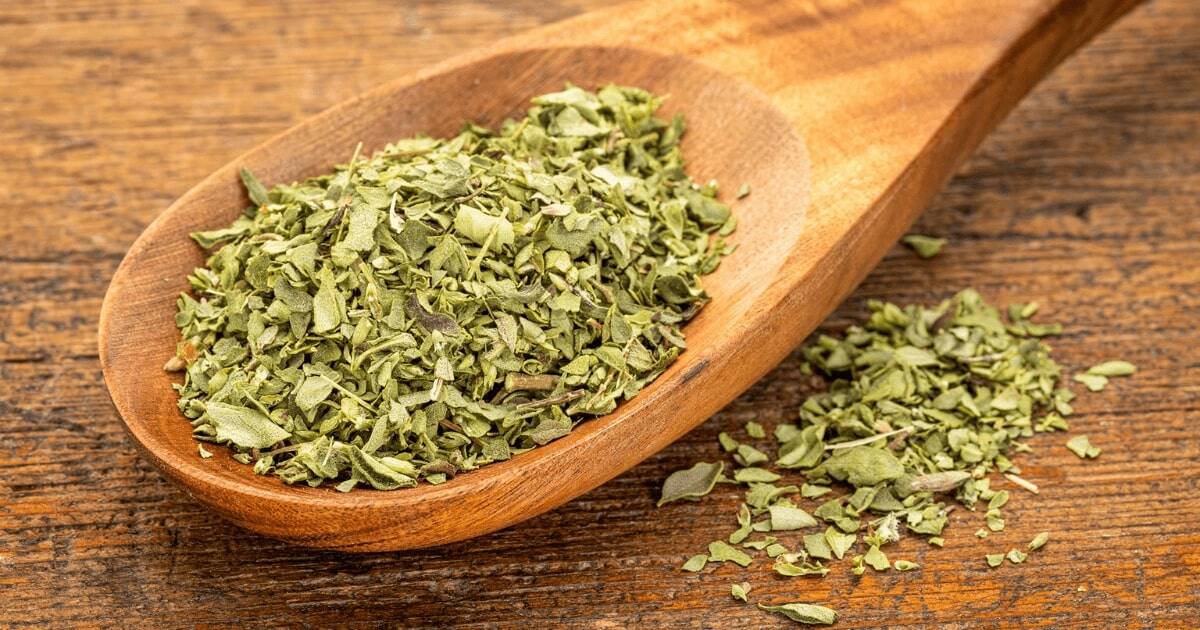 oregano