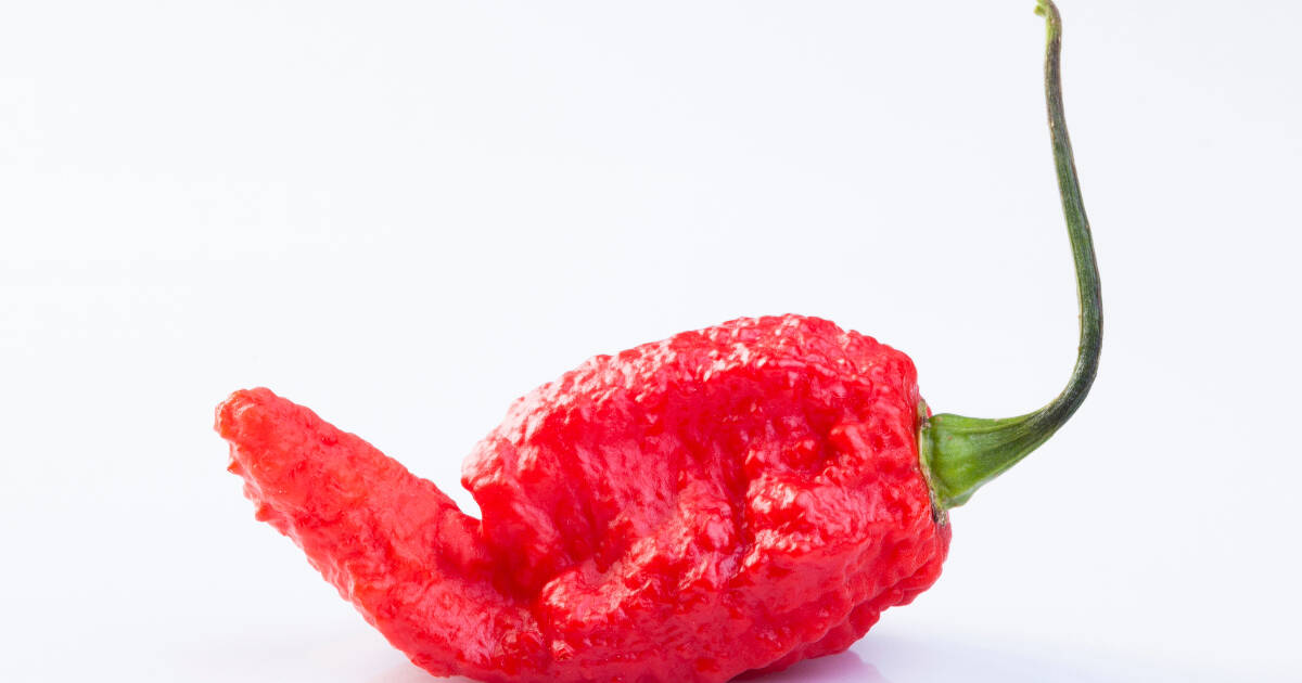 A Brief History of the Ghost Pepper