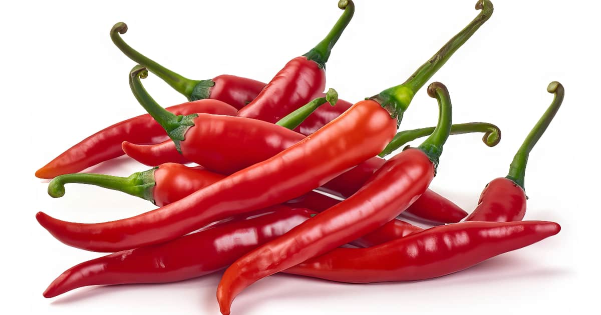 Chile Peppers Are Usually Hot