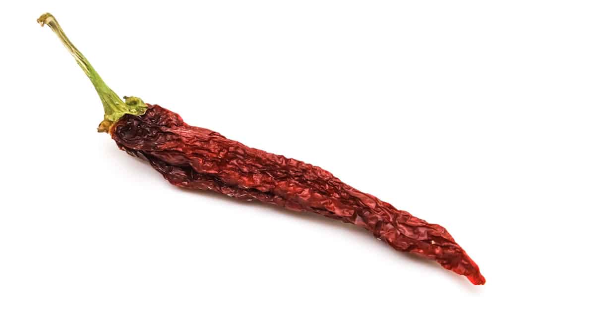 Kashmiri chili