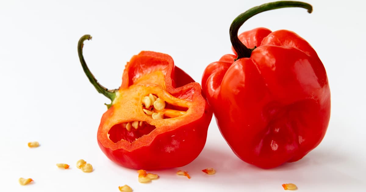 The Relation Between Habaneros and Scotch Bonnets