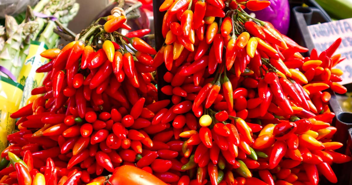 What Is Calabrian Chili Powder
