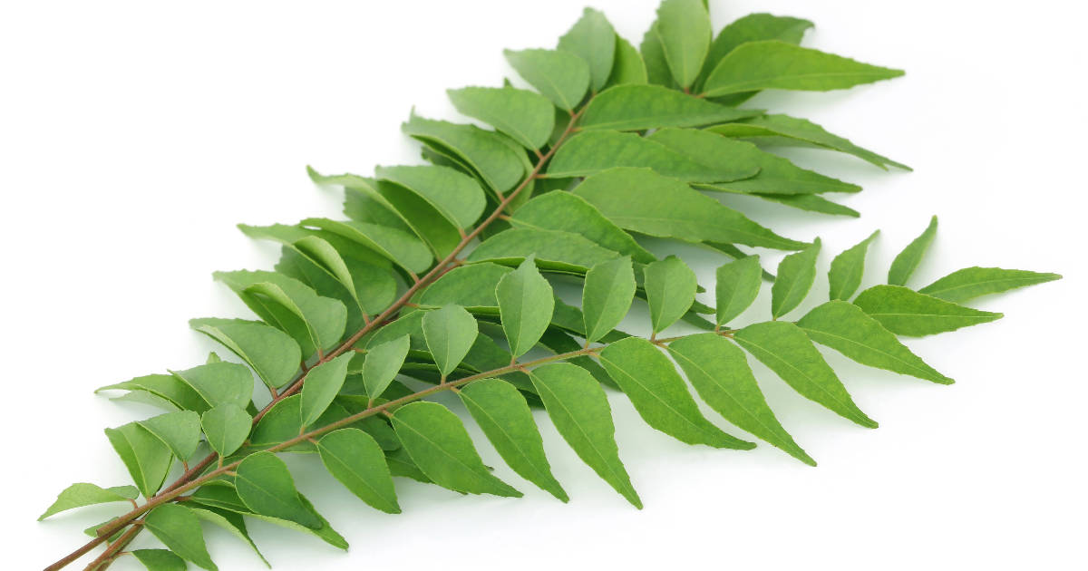 Curry Powder Vs. Curry Leaves