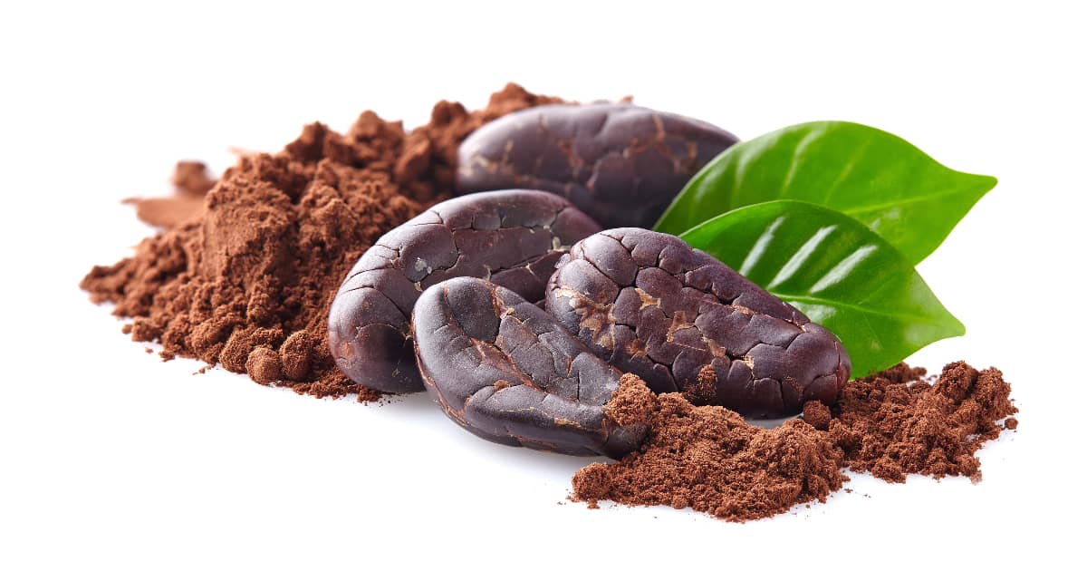 How to Make Cacao Powder from Cacao Beans