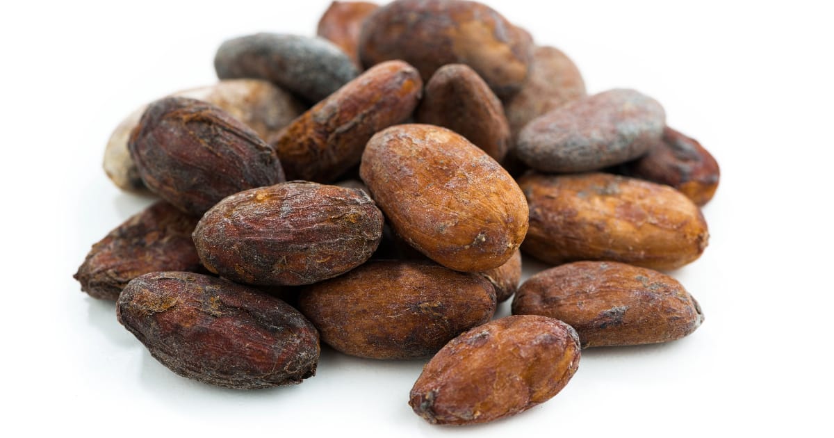 unroasted cacao beans