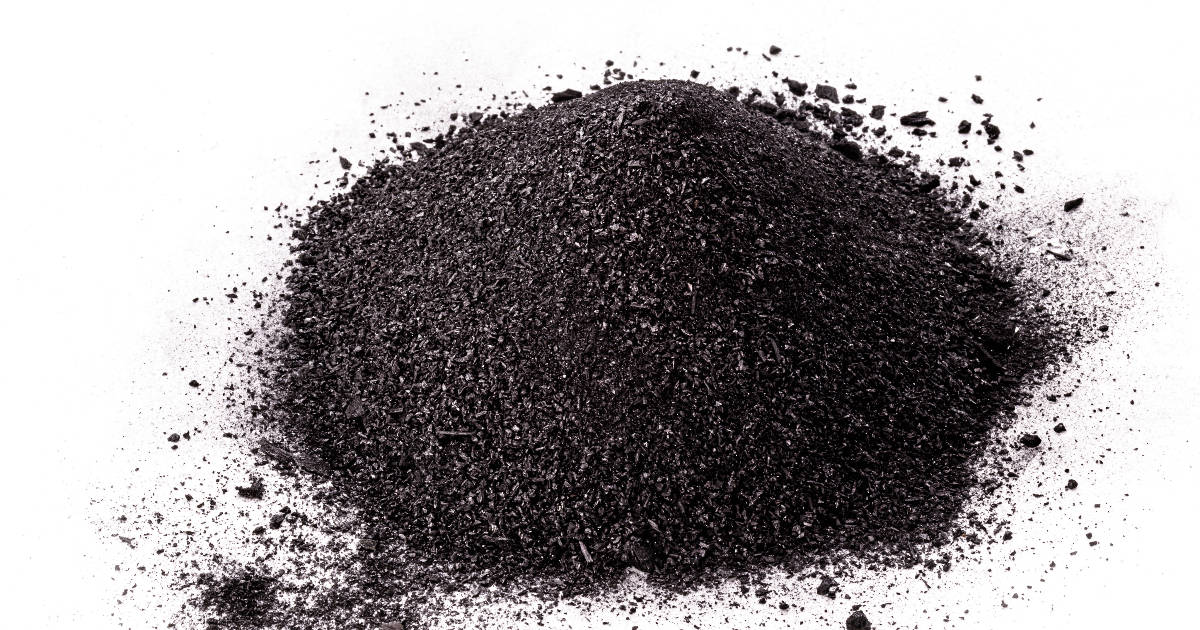 Black Seed Powder Vs. Oil