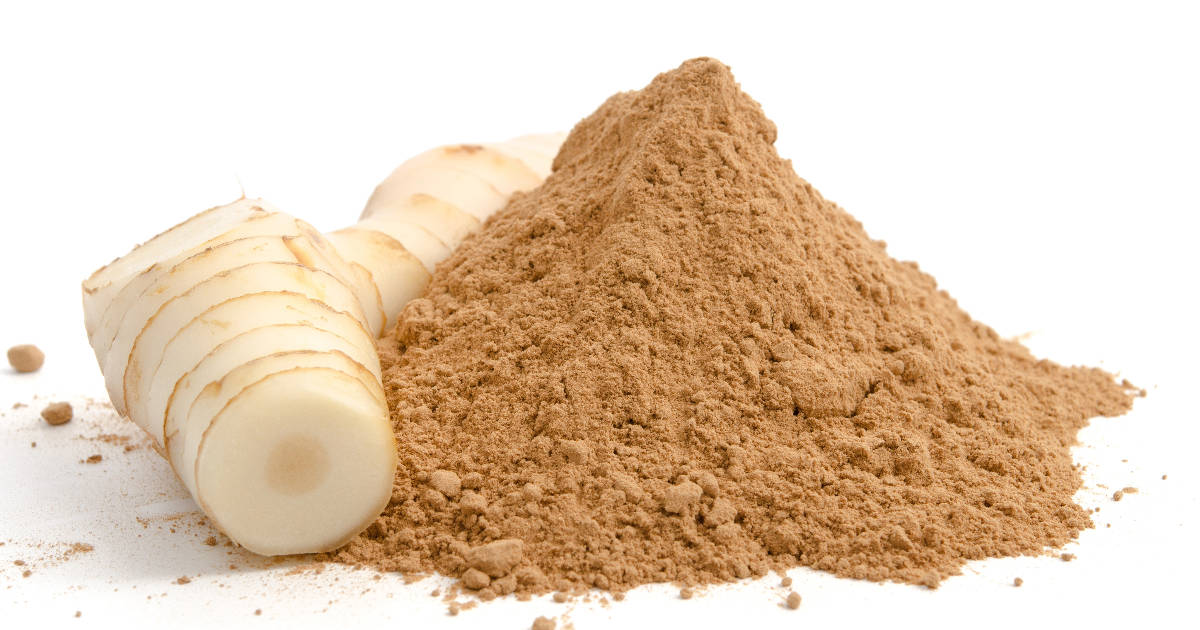 Galangal Powder