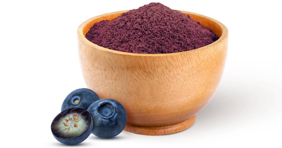 Homemade Blueberry Powder - Recipe