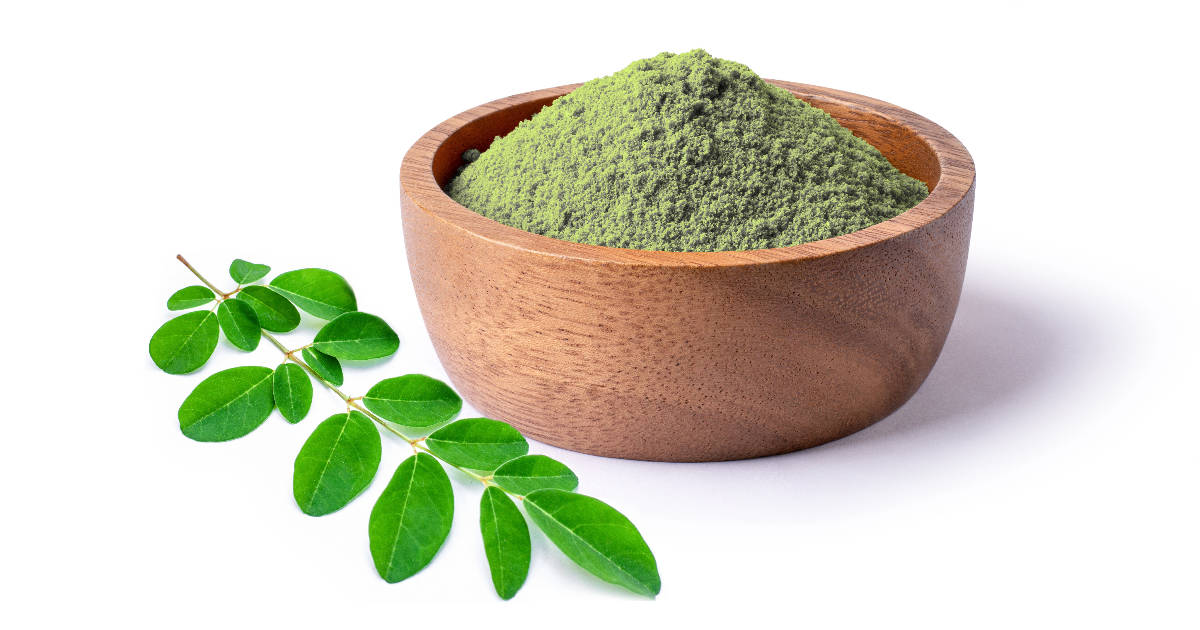 Moringa Powder vs. Moringa Tea