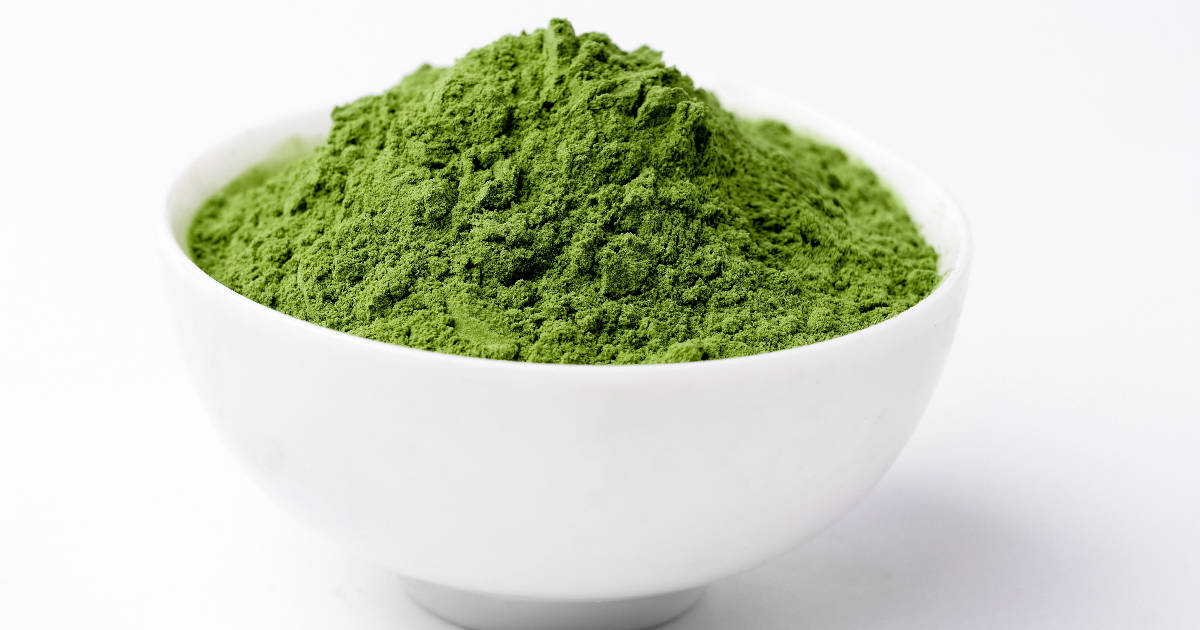 Wheatgrass Powder vs. Juice Which is Better