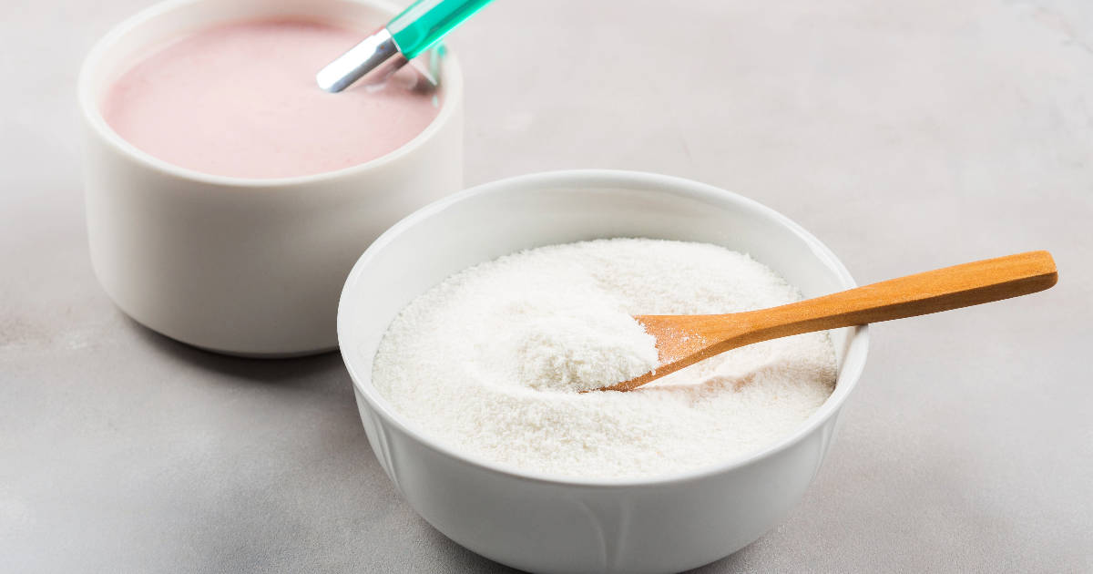 Yogurt Powder Substitutes