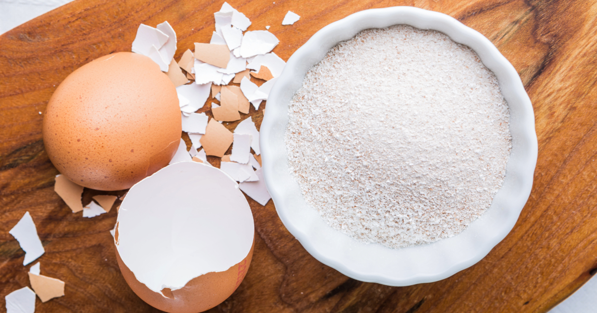 Eggshell Powder Uses