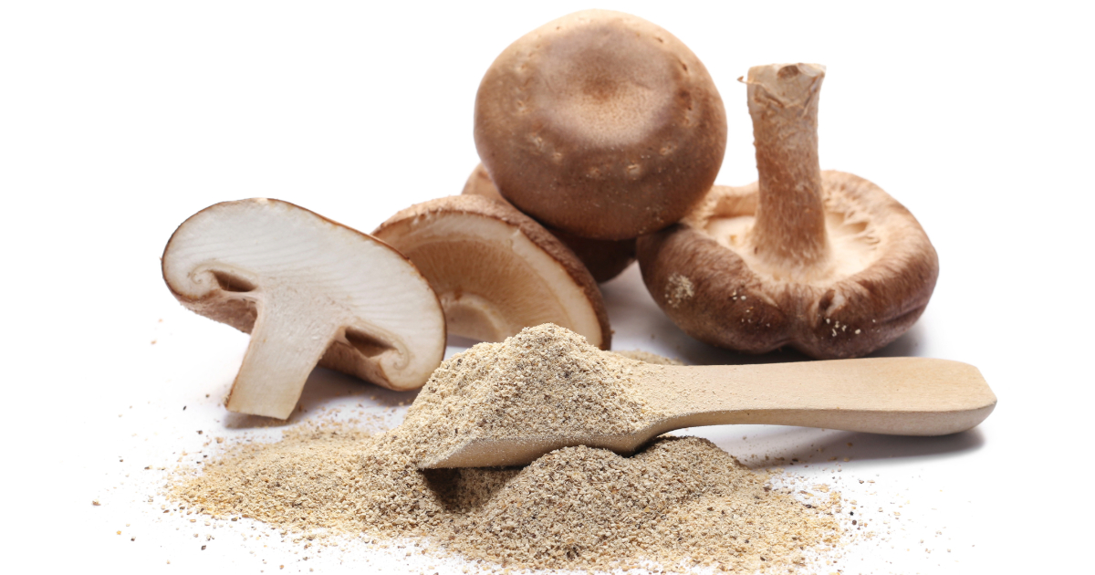 Shiitake Mushroom Powder Uses